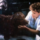 Even genius puppers need baths sometimes.